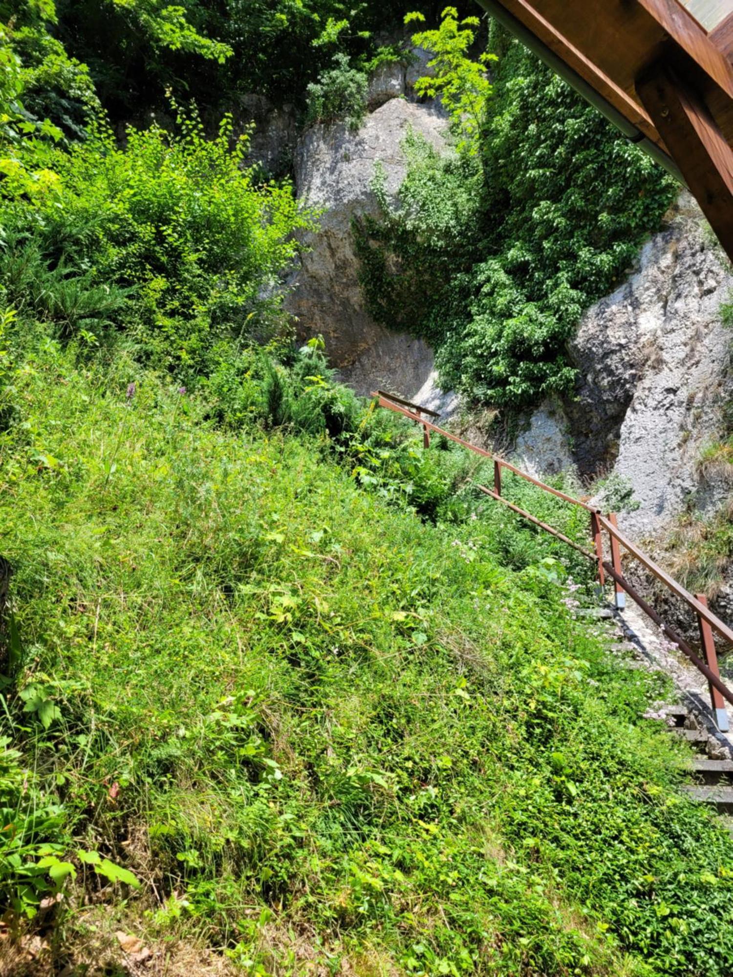 Zajazd Wernyhora Suloszowa Cameră foto